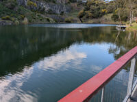 Google's 100x Pro Res Zoom on Pixel 10 Pro - Wow!